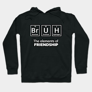 Bruh the elements of friendship Hoodie